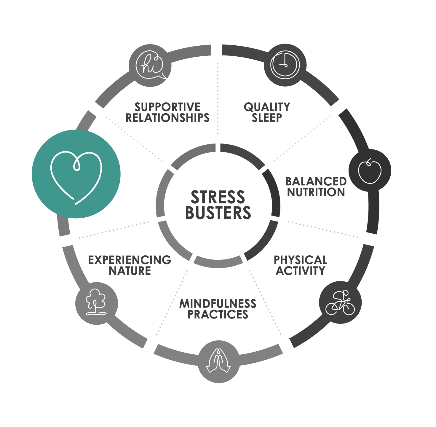 Image for UCAAN_StressBuster_Wheels-07